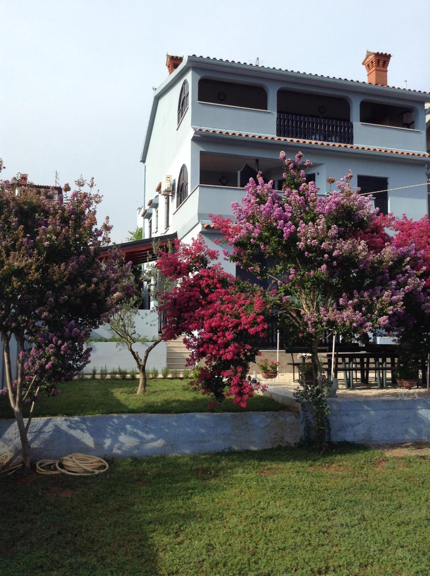 דירות וינקורן The Blue House מראה חיצוני תמונה