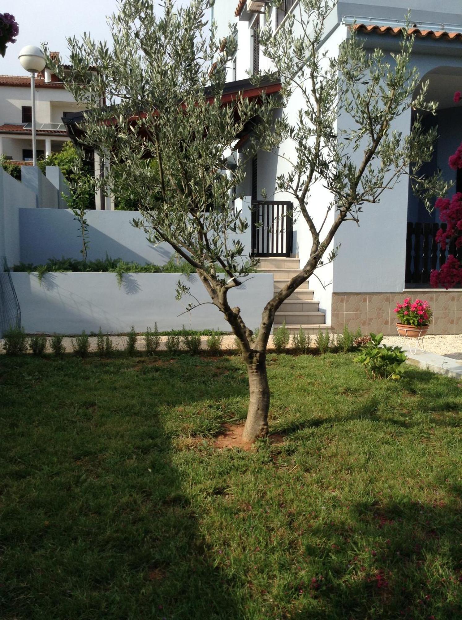 דירות וינקורן The Blue House מראה חיצוני תמונה